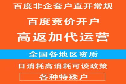 百度推广的广告投放策略案例